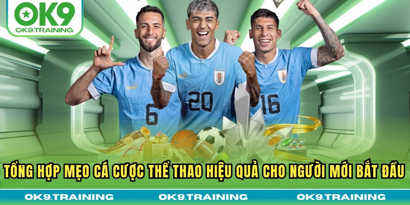 Tổng Hợp Mẹo Cá Cược Thể Thao Hiệu Quả Cho Người Mới Bắt Đầu